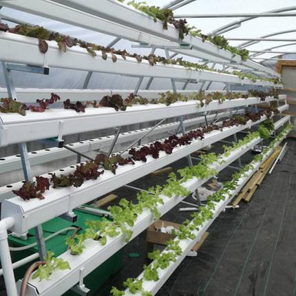 LETOU - 乐投(中文)官方网站